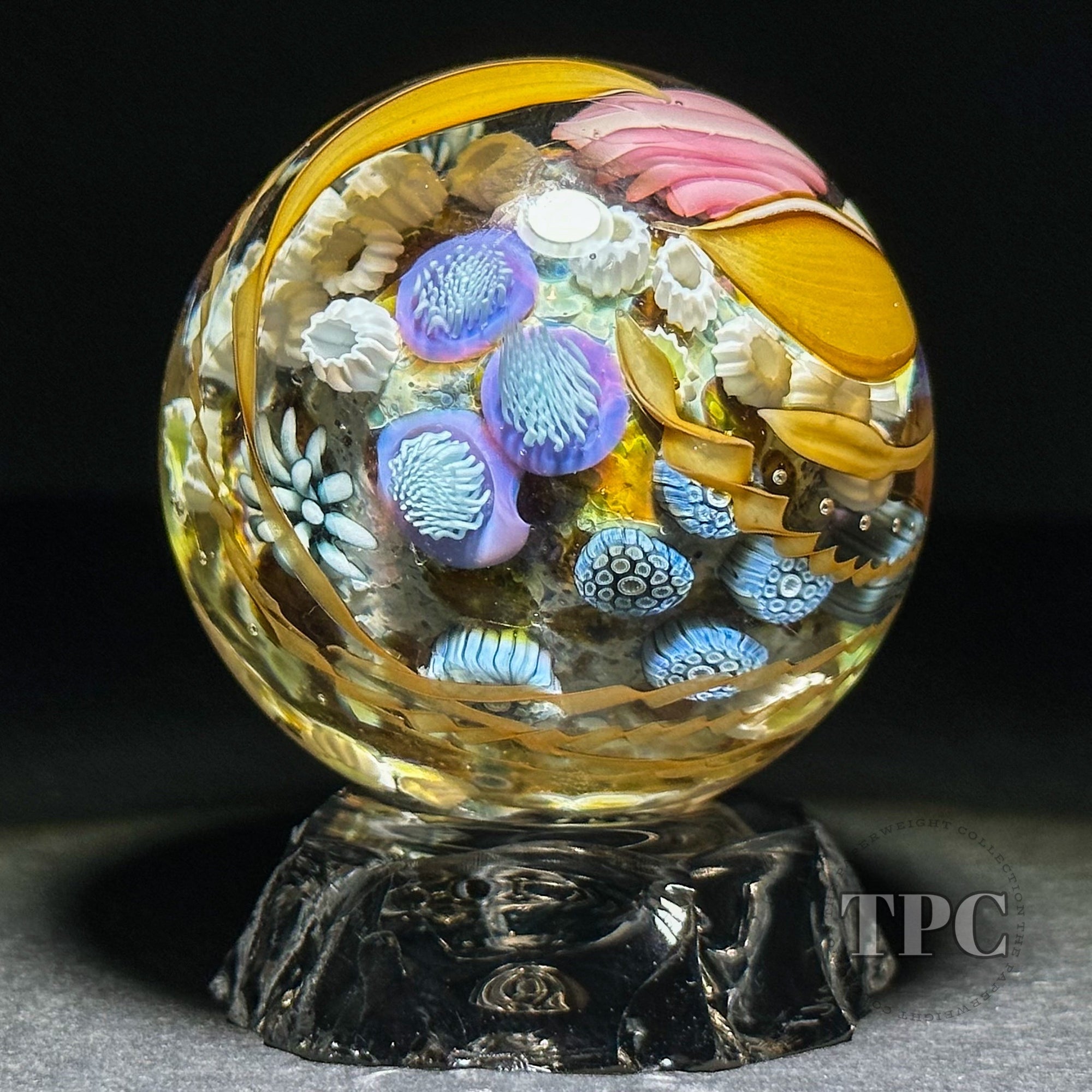 Jared DeLong 2023 Glass Art Marble Pacific Coast Tide Pool Series with Bioluminescent Barnacles & Flamework Kelp