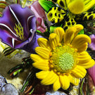 Ken Rosenfeld 2025 Glass Art Paperweight Naturalistic Flamework Wild Flowers on Sand Ground