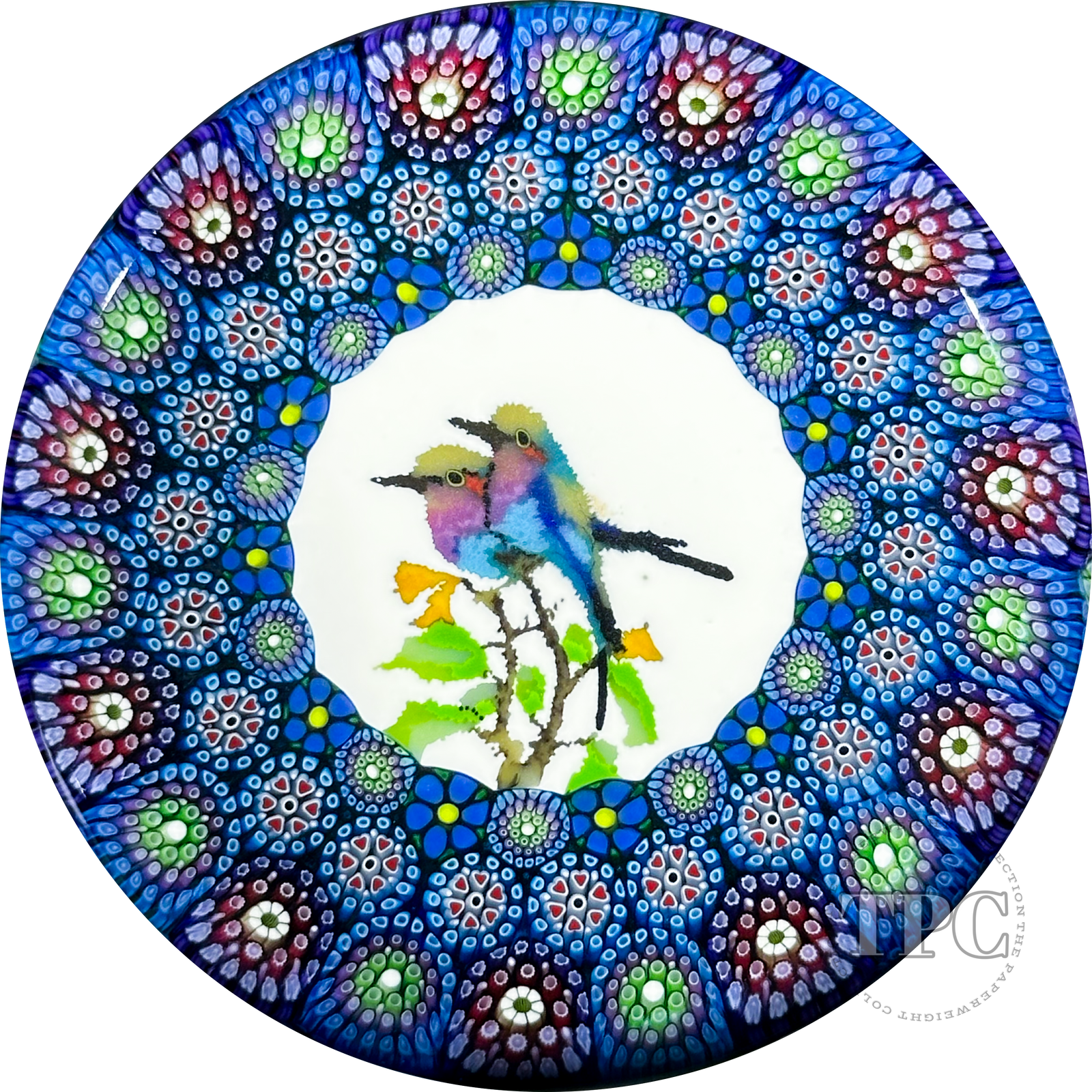 Michael Hunter 2024 Glass Art Paperweight Cylinder Closepack Complex Millefiori Gouldian Finch Murrine