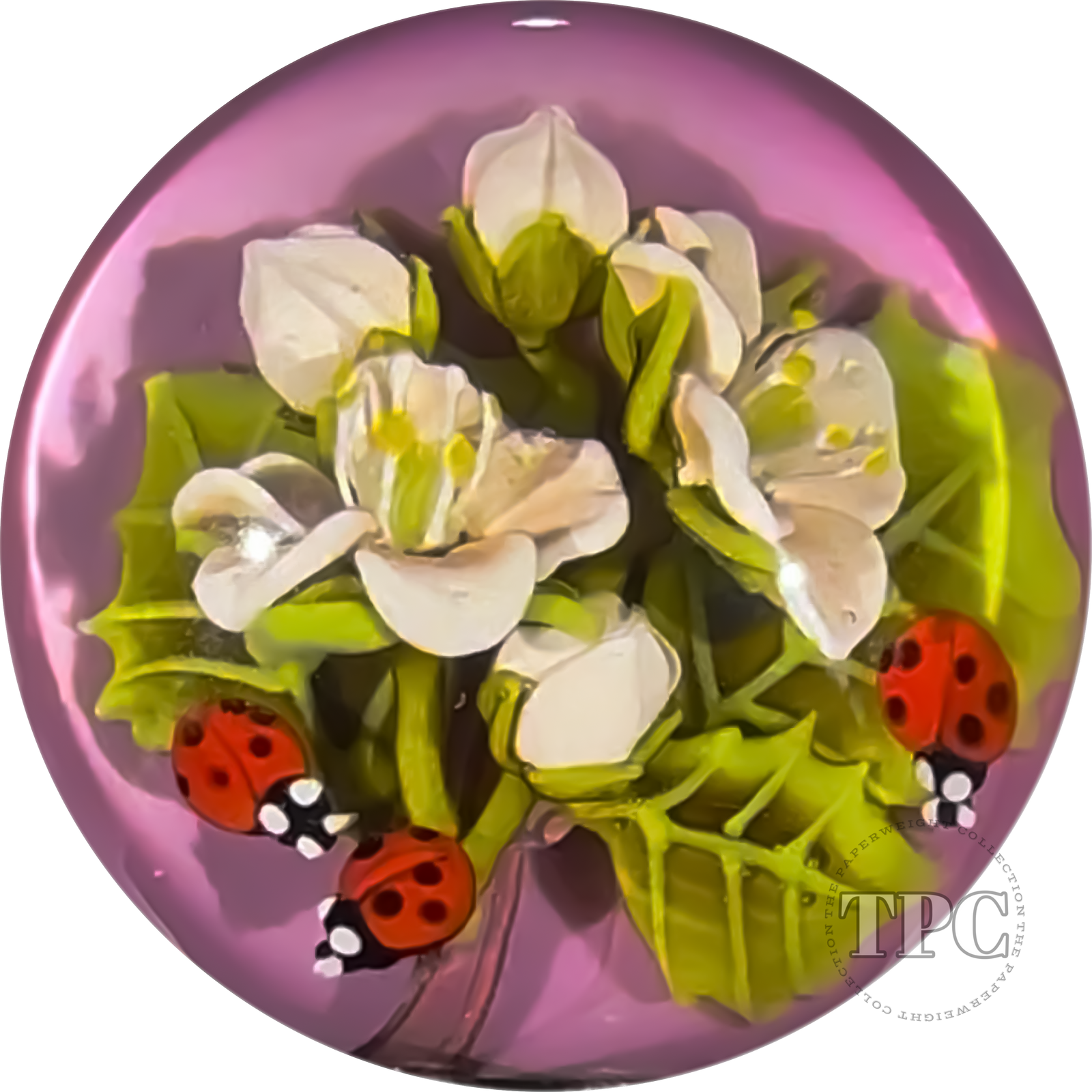 Clinton Smith 2024 Glass Art Marble Double Sided Flamework Lady Bugs & Salamander