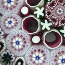 Damon MacNaught 2025 Glass Art Paperweight Patterned Concentric Complex Millefiori