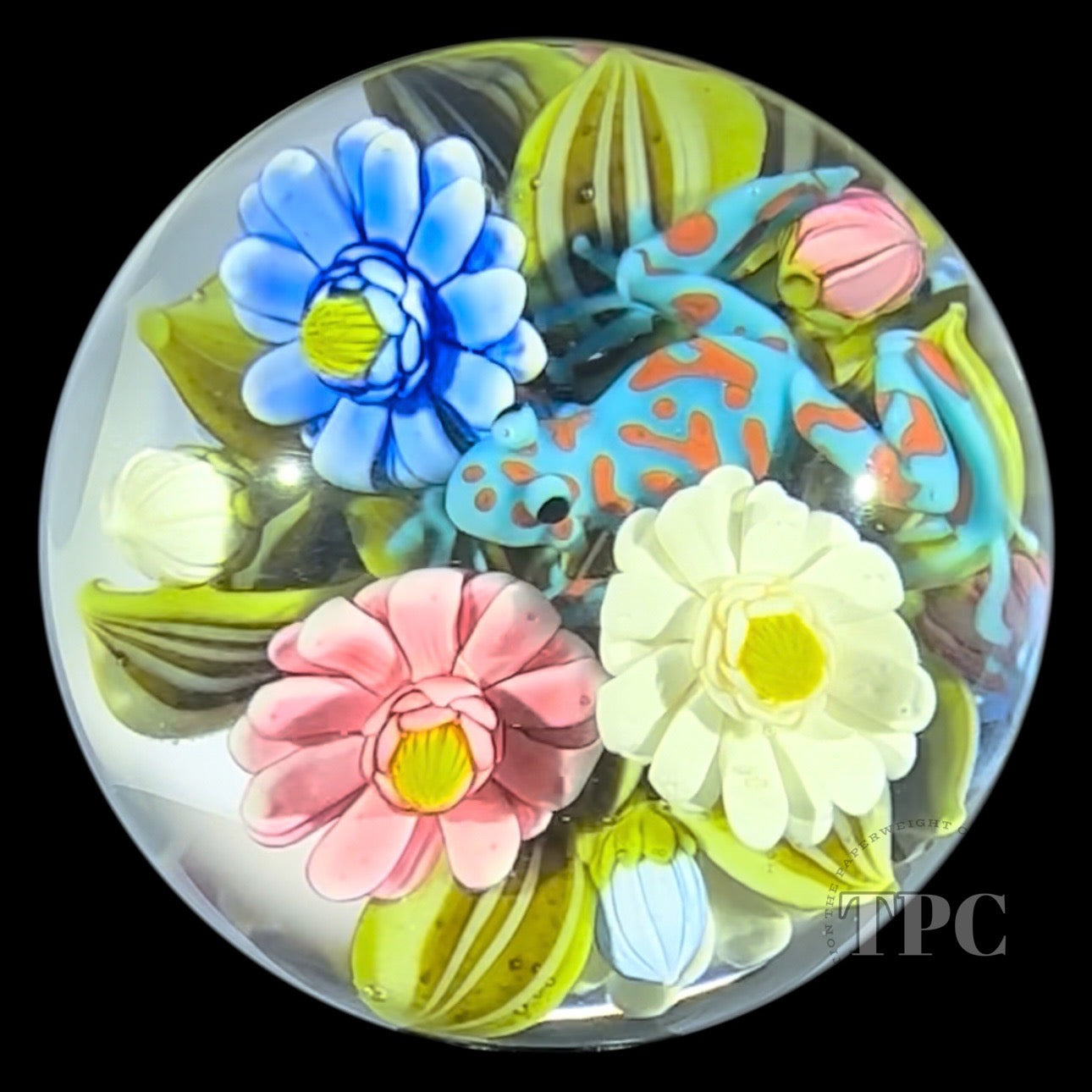Clinton Smith 2025 Large Glass Art Marble All Over 360° Poison Dart Frog Flower Bouquet