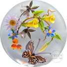 Mayauel Ward 1996 Glass Art Paperweight Flamework Floral Botanical with Monarch Butterfly