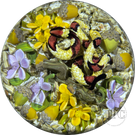 Gordon Smith 2025 Glass Art Paperweight Naturalistic Flamework Corn Snake with Perennials and Acorns