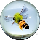 David Graeber 2024 Glass Art Marble Flamework Honeybee