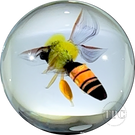 David Graeber 2024 Glass Art Marble Flamework Honeybee
