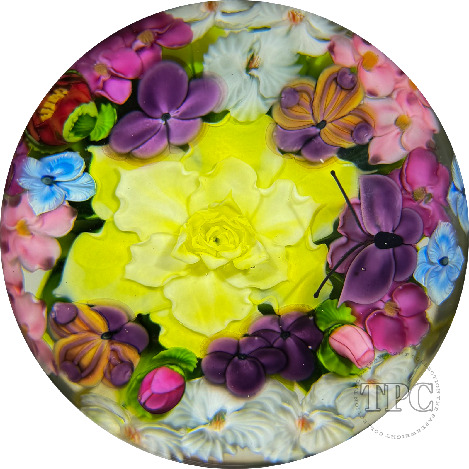 Monumental Daniel Salazar X Lundberg Studios 1993 Glass Art Paperweight Torchwork Flower Grotto with Purple Butterfly