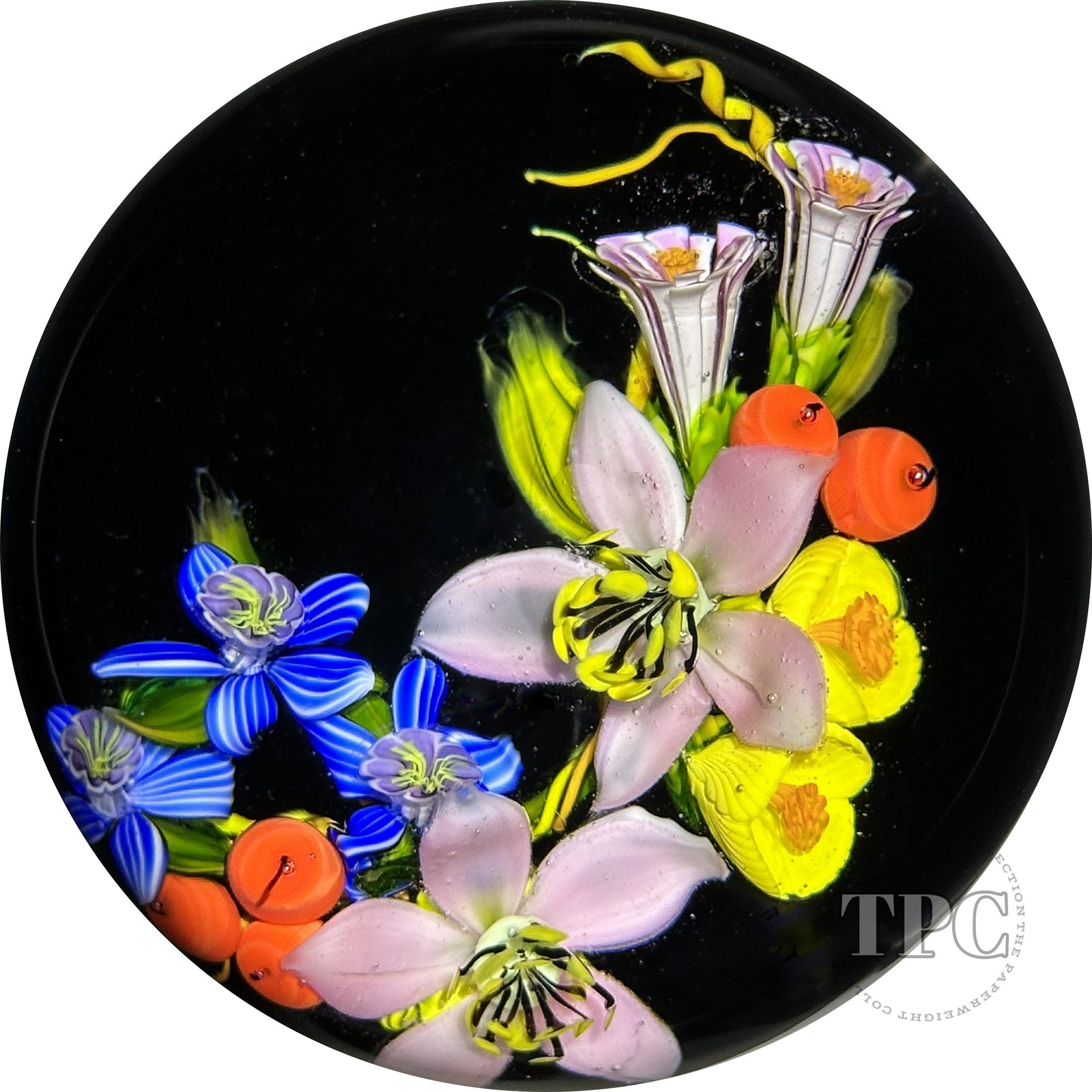 Mayauel Ward 2023 Glass Art Paperweight Flamework Flowers with Footed Black Ground