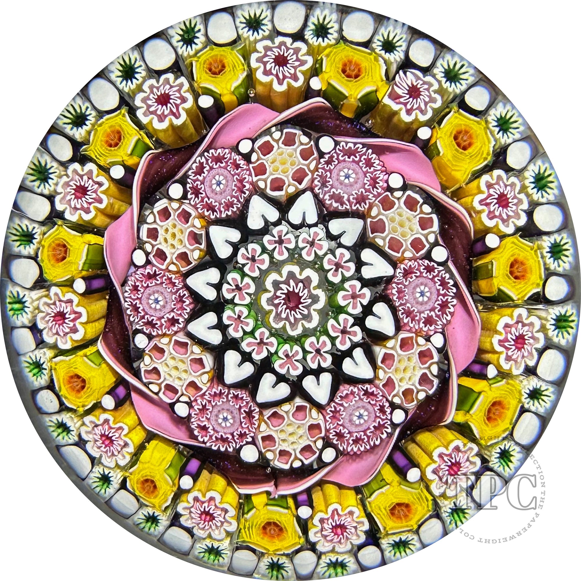 Damon MacNaught 2024 Magnum Glass Art Paperweight Close Concentric with Complex Millefiori with Ribbon Torsade, Hearts & Yellow Roses