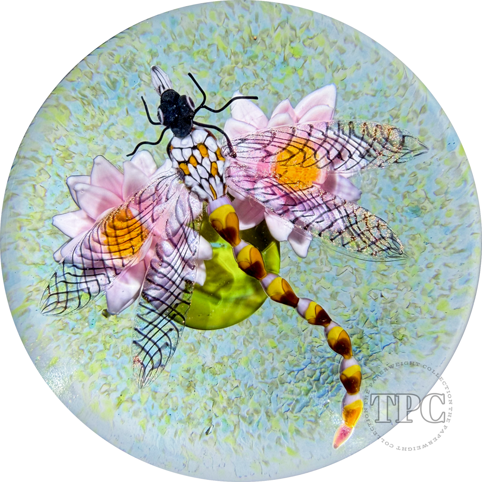 Gordon Smith 2026 Glass Art Paperweight Flamework Dragonfly Over Pink Lotus Pond