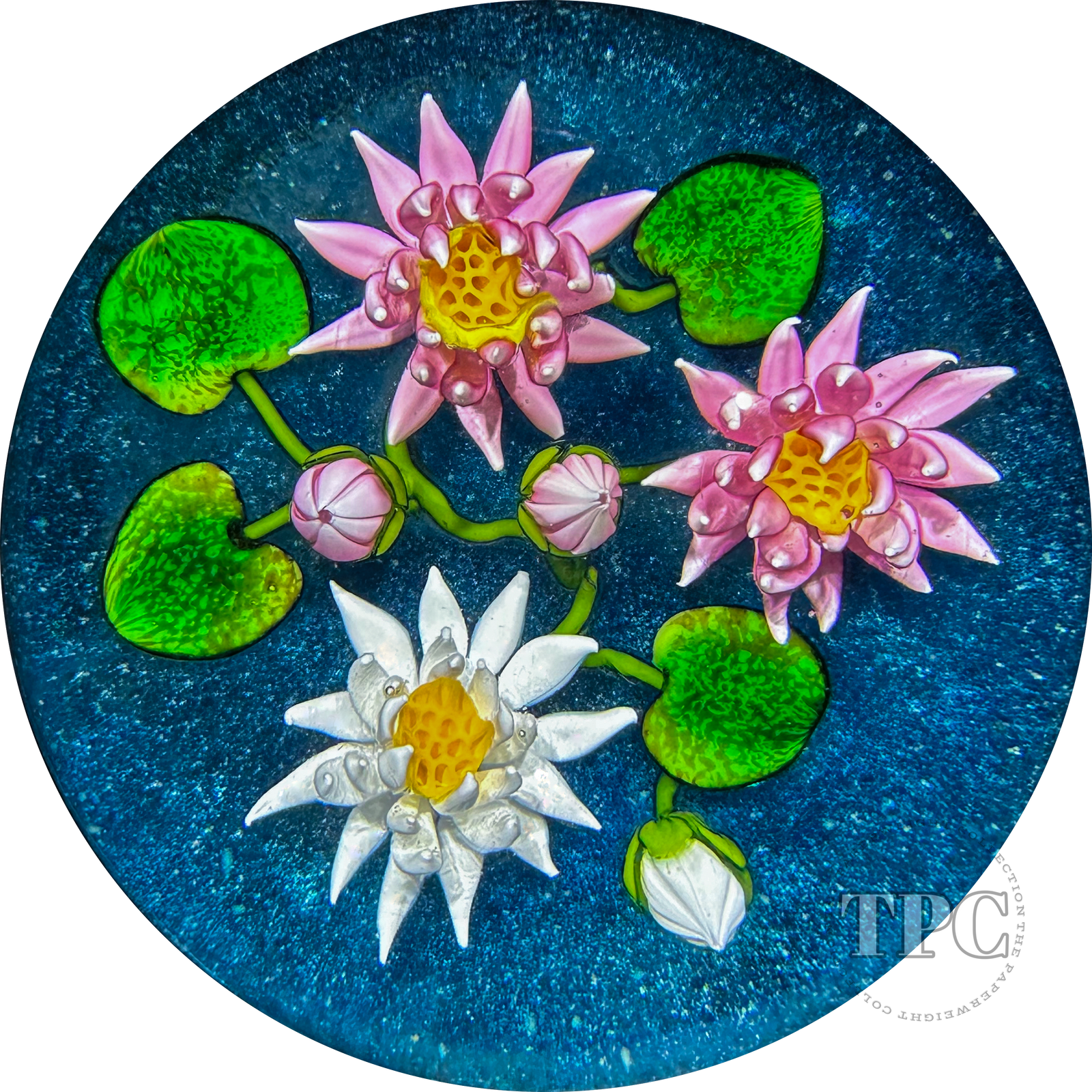 Ken Rosenfeld 2024 Glass Art Paperweight Flamework Pink & White Waterlilies
