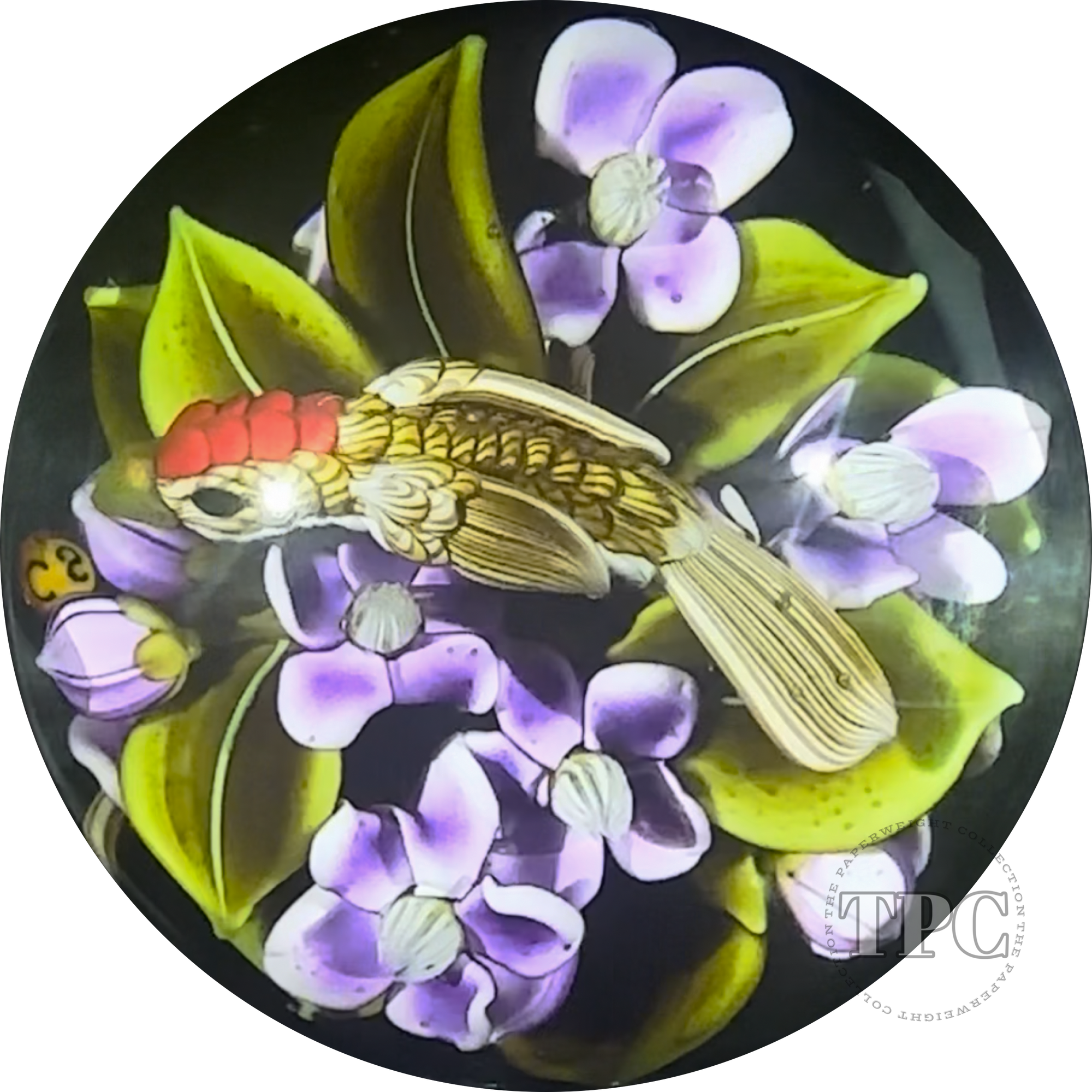 Clinton Smith 2024 Glass Art Marble Double-Sided  Flamework Songbirds in Courtship