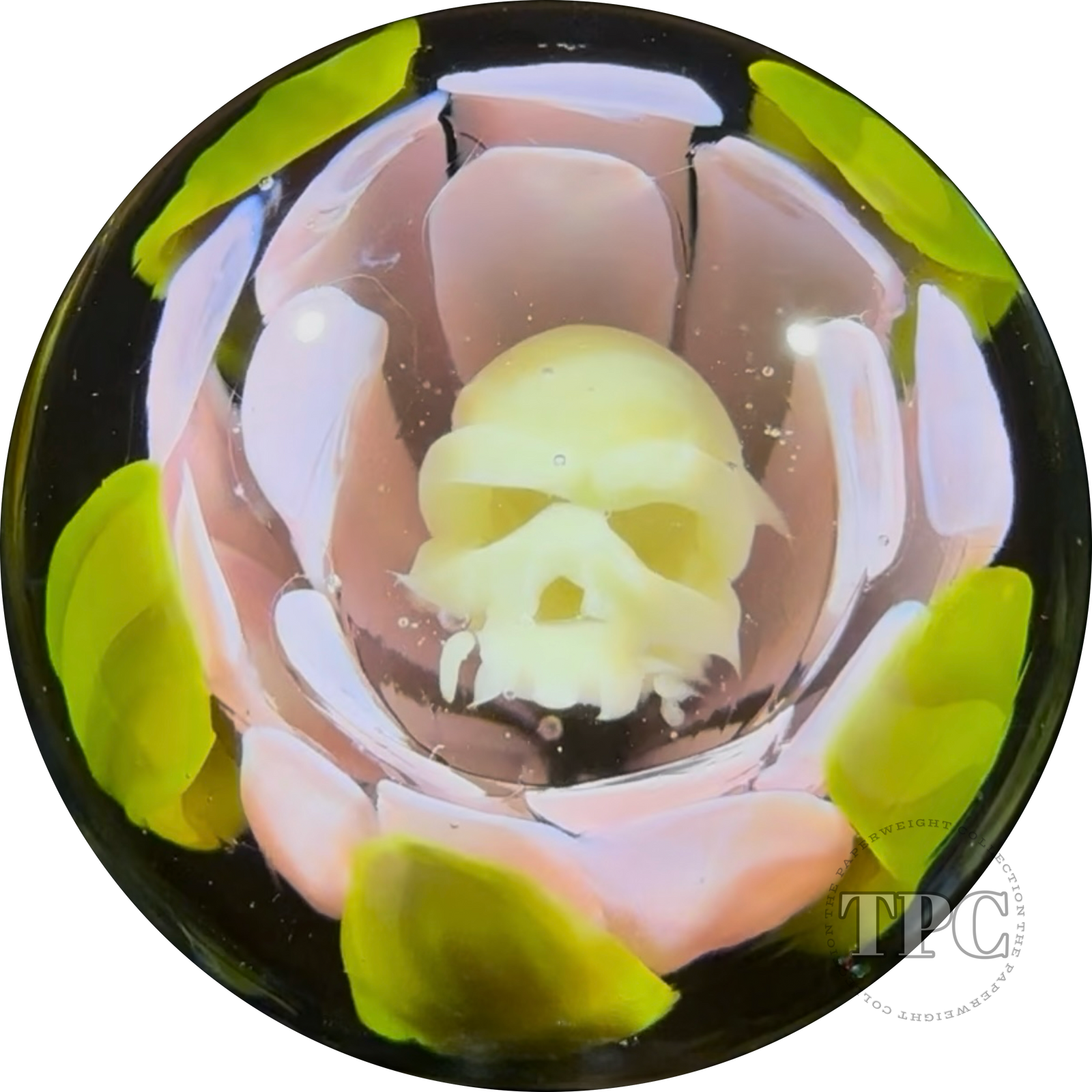Rocko Belloso 2024 Glass Art Marble Flamework Pink Life in Death Flower