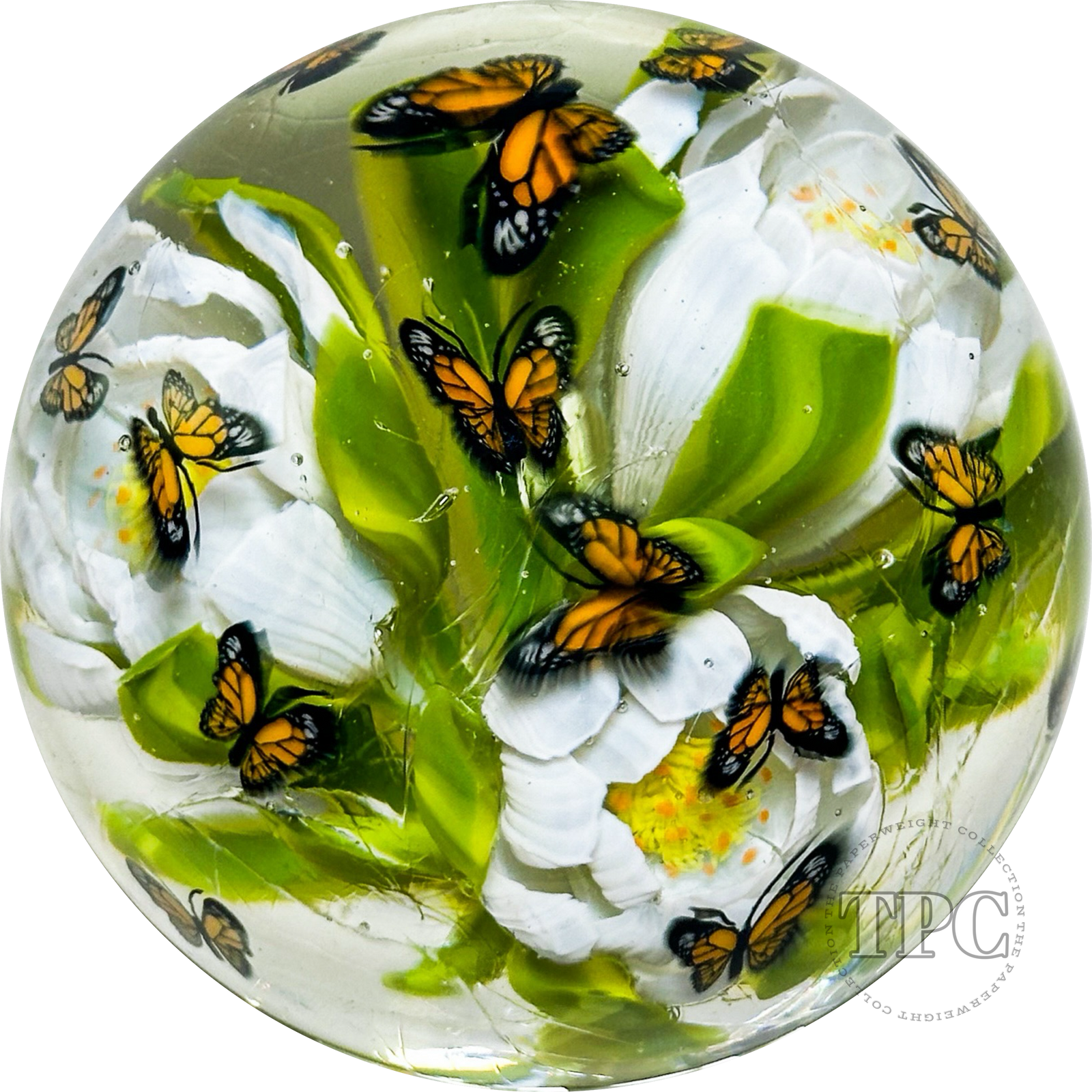 Rocko Belloso 2024 Glass Art Marble Flamework Monarch Butterfly Flurry with White Flowers