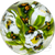 Rocko Belloso 2024 Glass Art Marble Flamework Monarch Butterfly Flurry with White Flowers