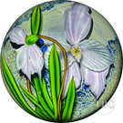Mayauel Ward 2003 Glass Art Paperweight Compound Torchwork Pink Orchid Flower