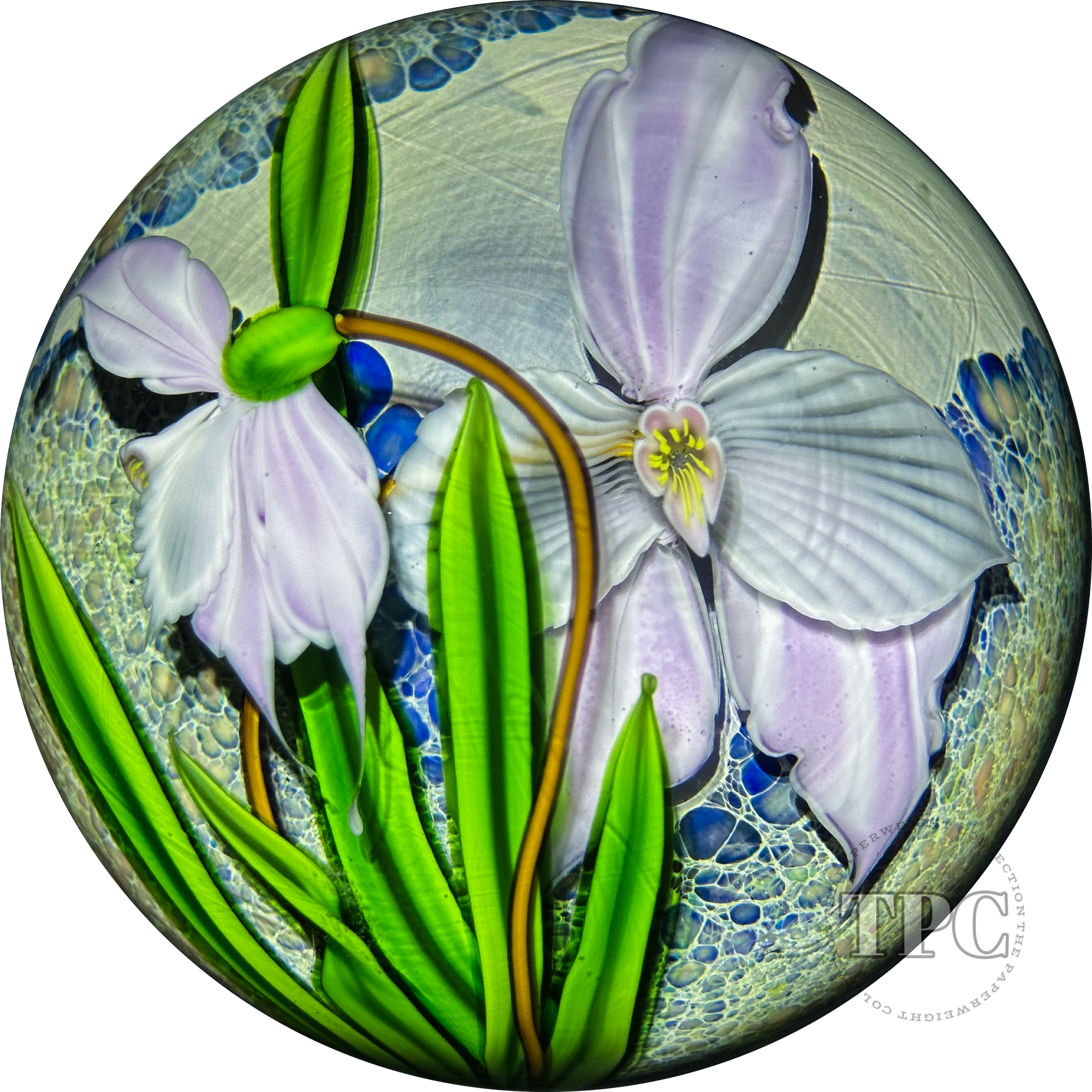 Mayauel Ward 2003 Glass Art Paperweight Compound Torchwork Pink Orchid Flower