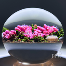 Cathy Richardson 2017 Glass Art Paperweight Flamework Light Burgundy Icelandic Wildflowers Realistic Ground 1 of 1