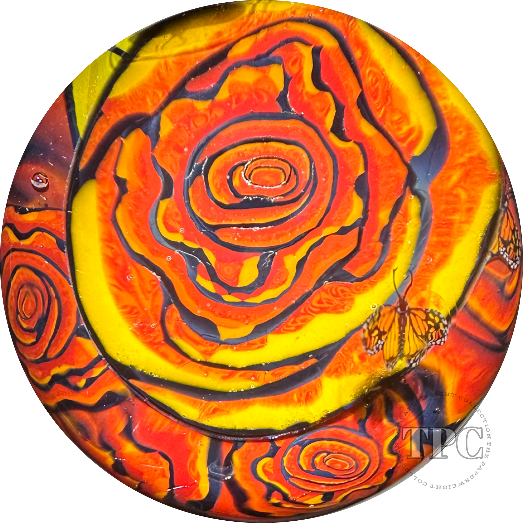 Huge Robert Koch 2023 Glass Art Marble "The Rose" Murrine with Leaves Blossoms and Monarch Butterflies