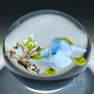 Victor Trabucco 1993 Glass Art Paperweight Flamework Blue Morning Glory Blossom