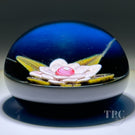 William Manson 2022 Art Glass Paperweight Flamework Pink Clematis on Dark Blue Ground