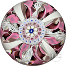 Damon MacNaught 2023 Glass Art Paperweight Pink & White Crown with Large Complex Millefiori Center