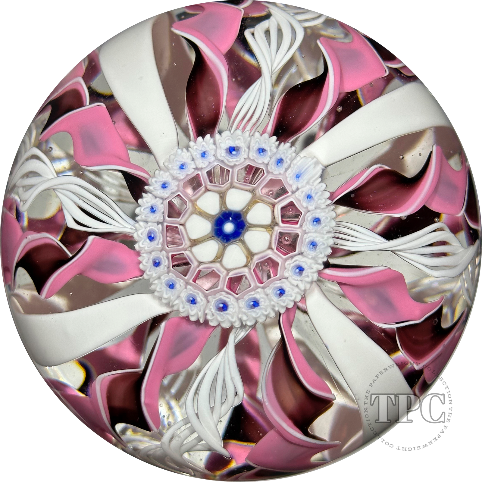 Damon MacNaught 2023 Glass Art Paperweight Pink & White Crown with Large Complex Millefiori Center