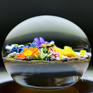 Clinton Smith 2024 Glass Art Paperweight Flamework Poison Dart Frogs with Flowers & Bee