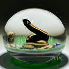 Bob Banford Glass Art Paperweight Flamework Stripped Snake on Green