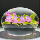 Chris Buzzini 1994 Glass Art Paperweight LE Flamework Pink Daisies