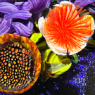 Melissa Ayotte 2024 Glass Art Paperweight Flamework Flower Bouquet on Dichroic Blue