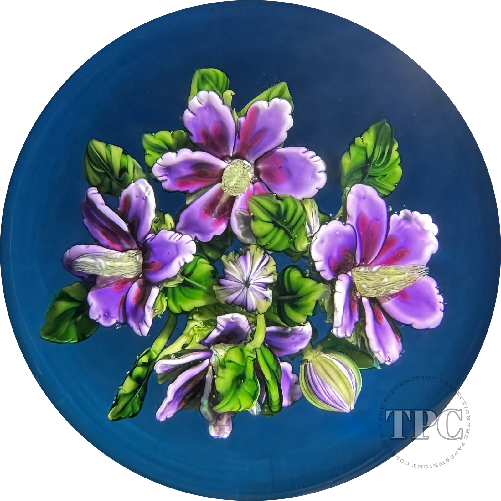 Ken Rosenfeld 2017 Glass Art Paperweight Large Flamework Purple Geraniums on Transparent Blue