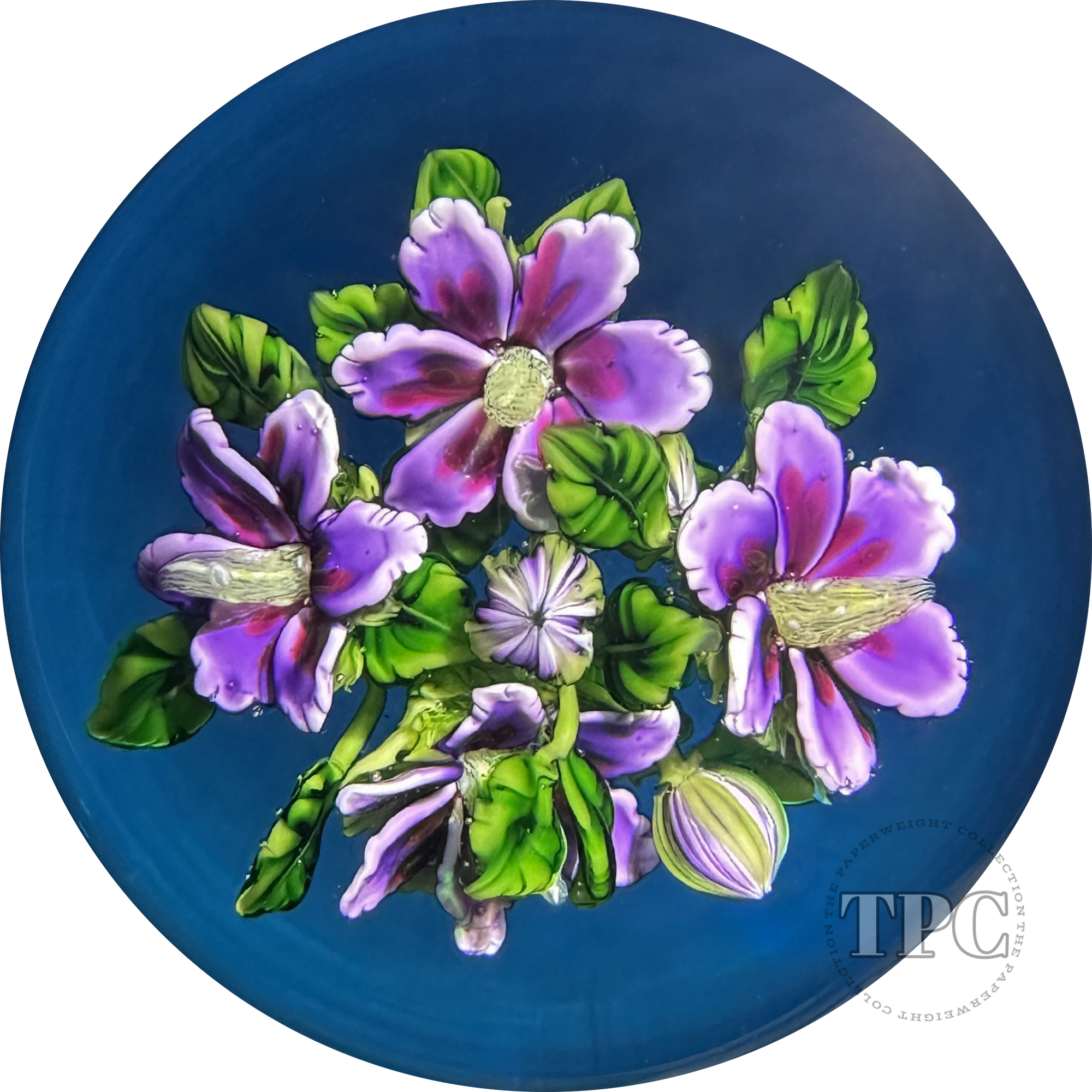Ken Rosenfeld 2017 Glass Art Paperweight Large Flamework Purple Geraniums on Transparent Blue