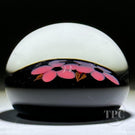 William Manson 2023 Miniature Art Glass Paperweight Flamework flowers on Black Ground