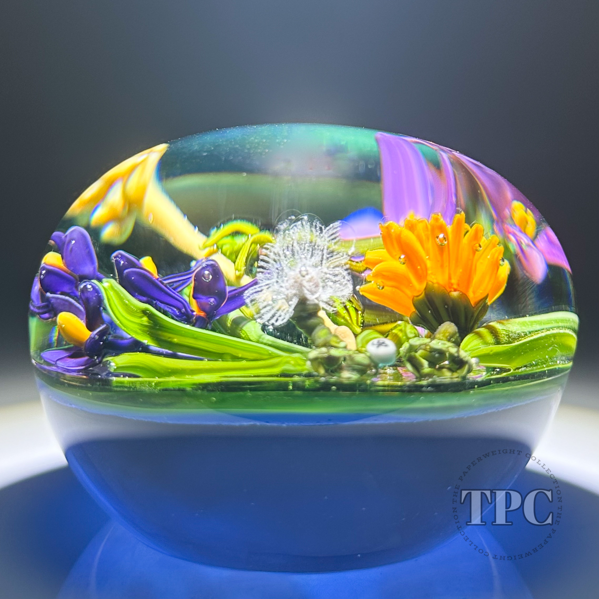 Stefan Bracht 2020 Glass Art Paperweight Flamework Grasshopper with Wi