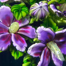 Ken Rosenfeld 2017 Glass Art Paperweight Large Flamework Purple Geraniums on Transparent Blue