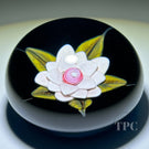 William Manson 2022 Art Glass Paperweight Flamework Pink Clematis on Dark Blue Ground