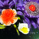Melissa Ayotte 2024 Glass Art Paperweight Flamework Flower Bouquet on Dichroic Blue