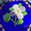 Perthshire Paperweights PP222 Pink Millefiori Posy with Garland on Blue Glass Art Paperweight