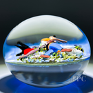 Clinton Smith 2024 Glass Art Paperweight Flamework Goofy with Numerous Creatures and Flowers