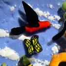 Clinton Smith 2024 Glass Art Paperweight Flamework Goofy with Numerous Creatures and Flowers