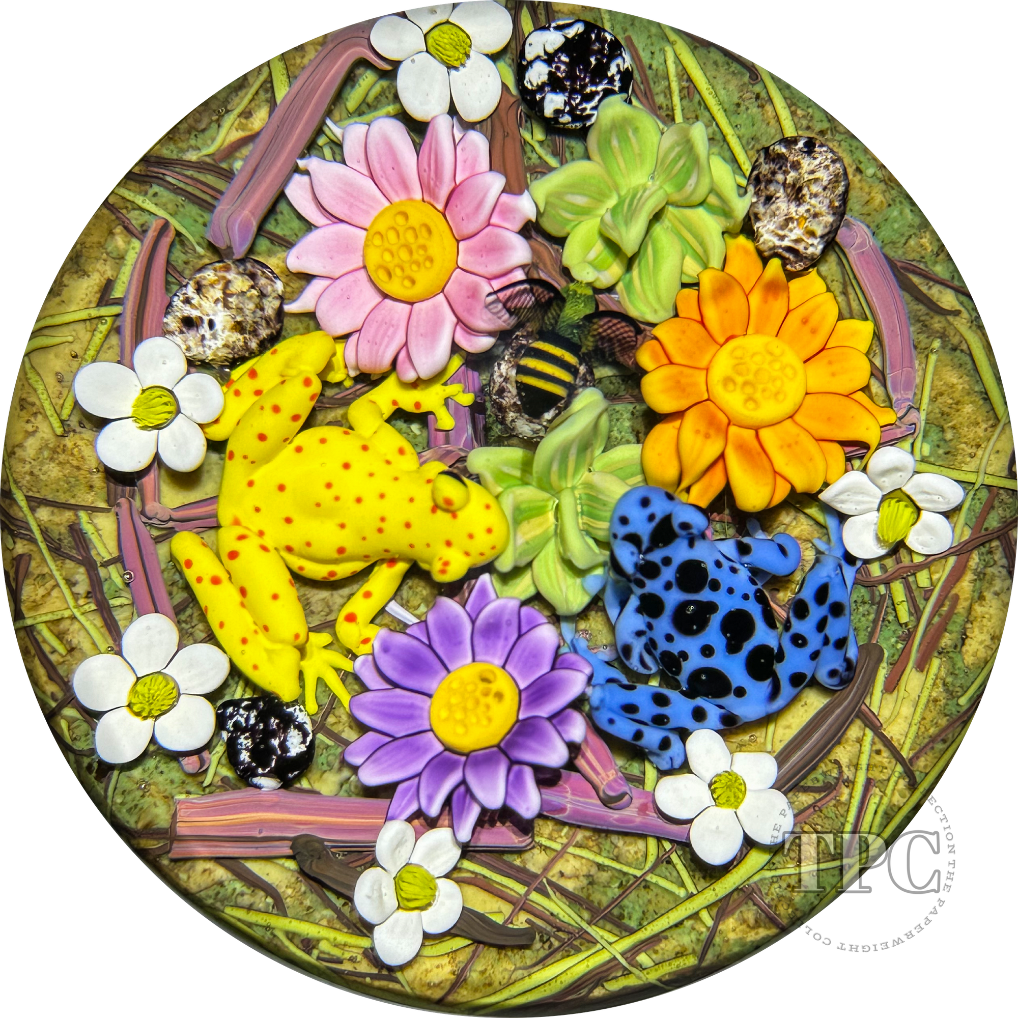 Clinton Smith 2024 Glass Art Paperweight Flamework Poison Dart Frogs with Flowers & Bee
