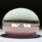 William Manson 2022 Art Glass Paperweight Flamework White Daisies on Opaque Pink Ground LE 1/5