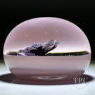 William Manson 2022 Art Glass Paperweight Flamework Purple Daisy on Opaque Pink Ground LE 1/5