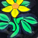 William Manson 2023 Art Glass Paperweight Flamework Yellow Daisy on Dark Ground