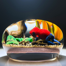 Gordon Smith 1994 Glass Art Paperweight Strawberry Poison Dart Frog with Yellow Tropical Flowers