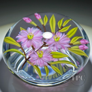 Chris Buzzini 1994 Glass Art Paperweight LE Flamework Pink Daisies