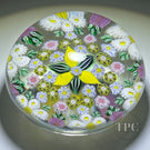 Drew Ebelhare & Sue Fox 2019 Glass Art Paperweight Flamework Complex Patterned Millefiori