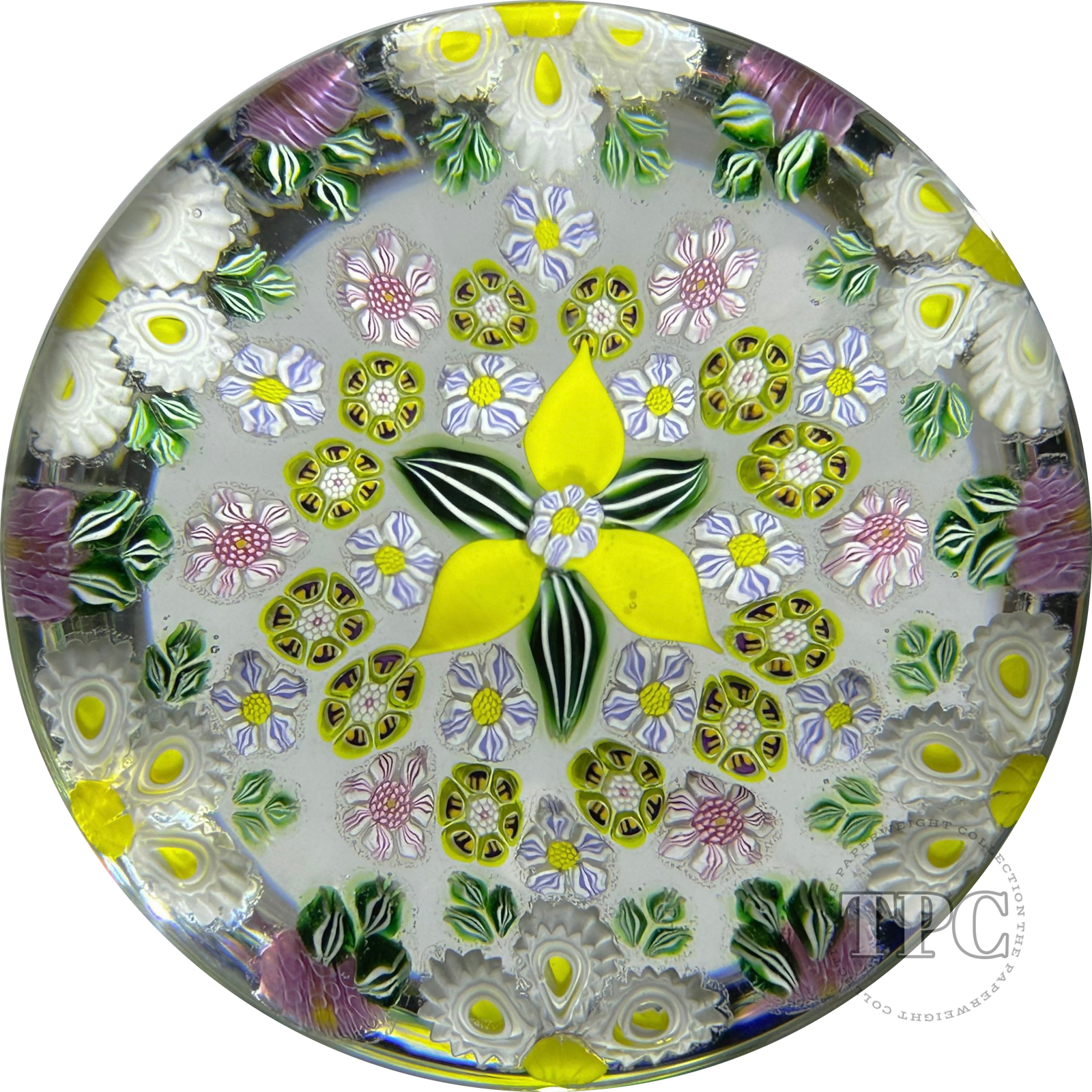 Drew Ebelhare & Sue Fox 2019 Glass Art Paperweight Flamework Complex Patterned Millefiori