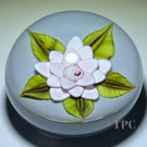 William Manson 2023 Art Glass Paperweight Flamework Pink Clematis on Pale Blue Ground